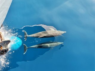 paxos-antipaxos-blue-caves-departure-from-lefkimmi-11